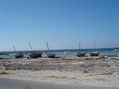 barquitas