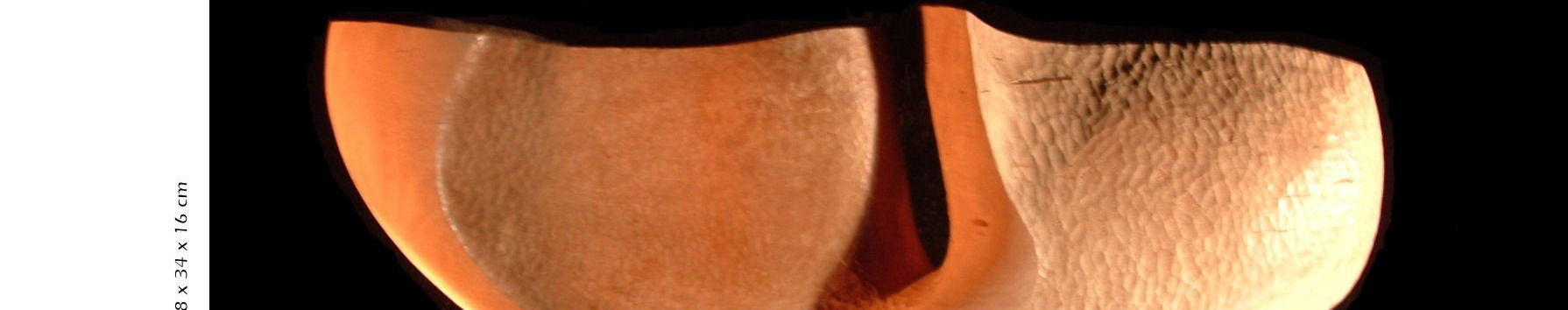 Imagen de portada