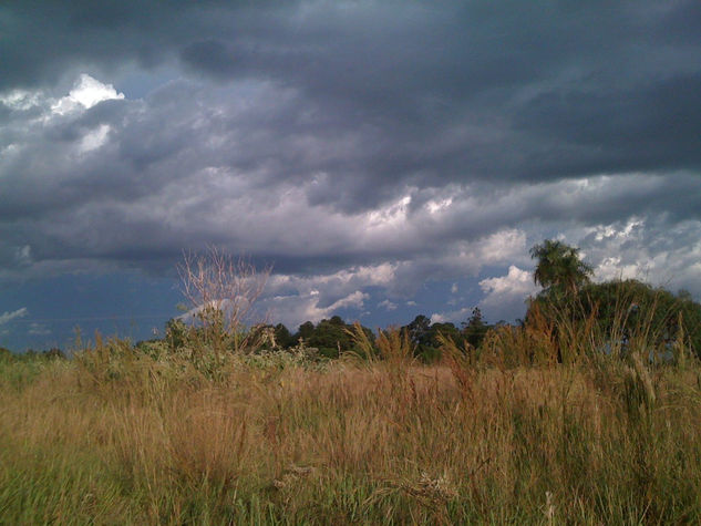 Tormenta Nature Color (Digital)