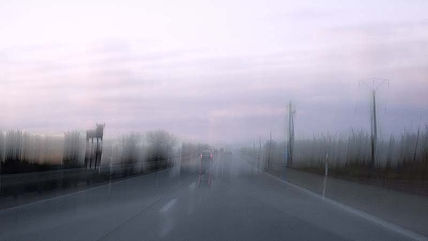 Caminos V