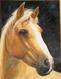 Palomino