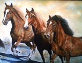 Caballos de Paso Peruano