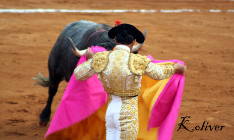 Mirada de una Pasiòn.