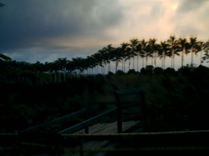 Atardecer en medio...