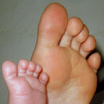 Hogar thumbnail 1