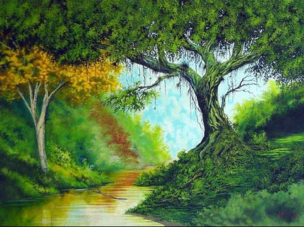 No coração da floresta