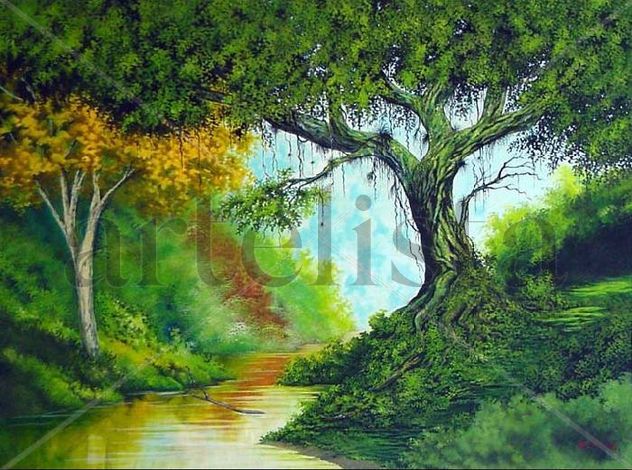 no coração da floresta