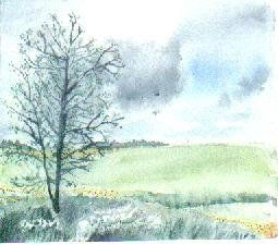 Paisaje Prim Watercolour Card Landscaping