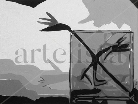 Paradise Bird