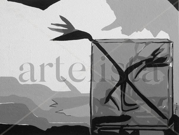 Paradise Bird