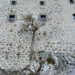 Fotografía. thumbnail 2