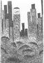 Ciudad