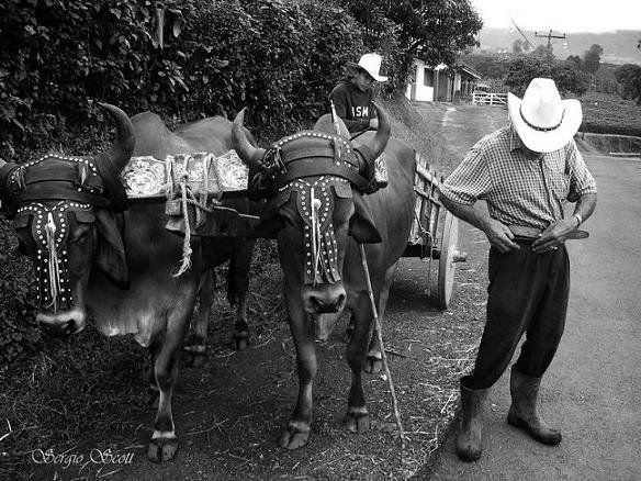 Carreta 