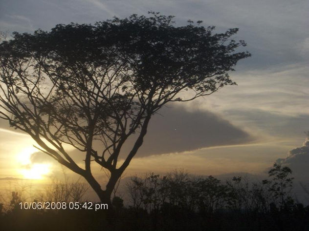 PAZ Y AMOR AL FIN DE LA TARDE