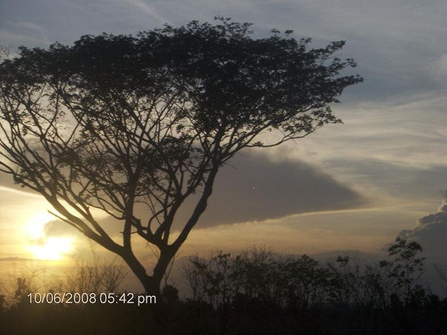 PAZ Y AMOR AL FIN DE LA TARDE 