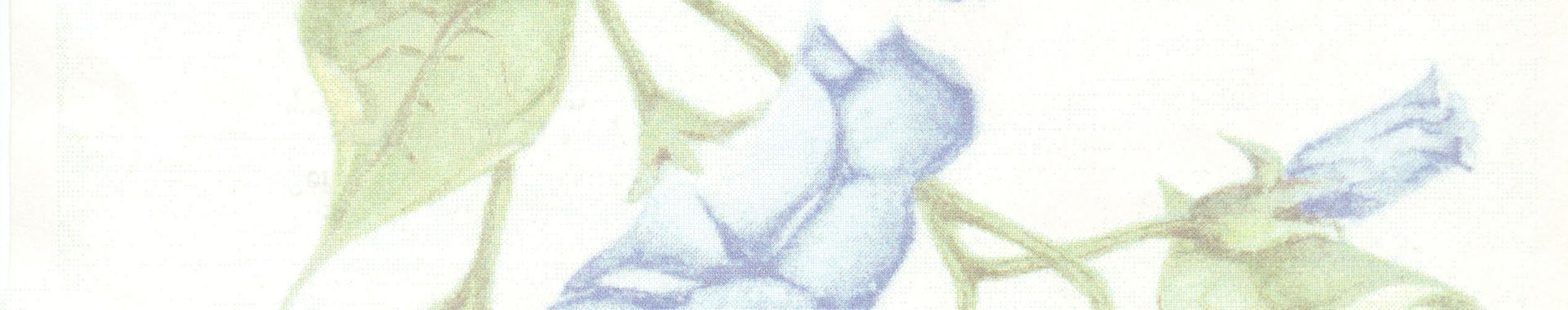 Imagen de portada