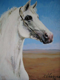 Caballo blanco