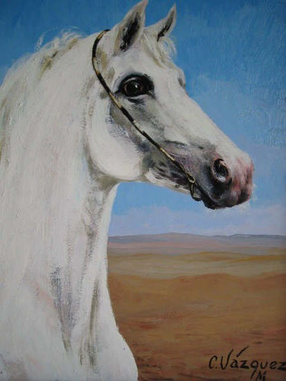 CABALLO BLANCO Óleo Lienzo Animales