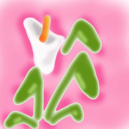 Flor 6