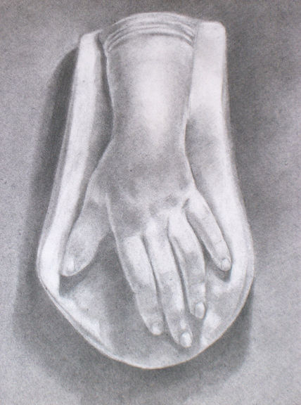 Anatomía 1