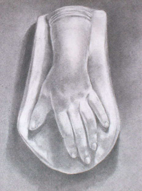 Anatomía 1