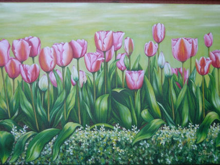 Tulipanes