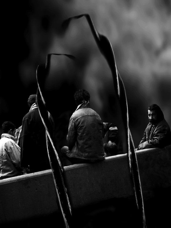 015 los gritos del silencio