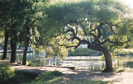 Parque Saavedra