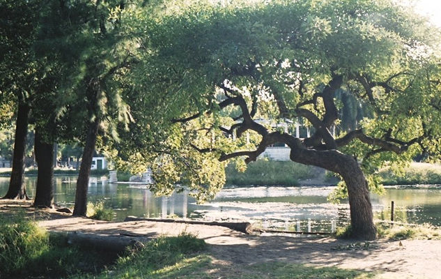 Parque Saavedra 