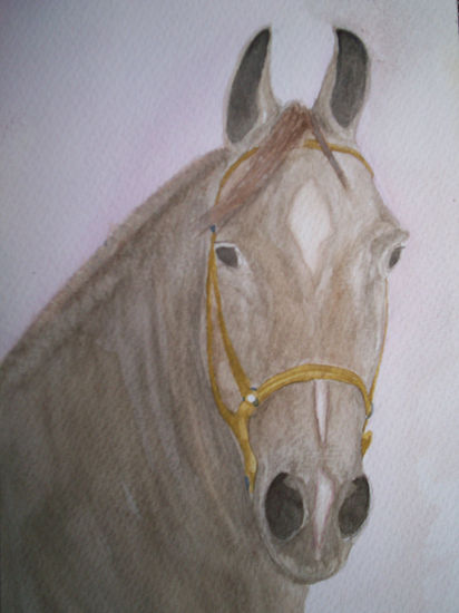 Caballo 2 