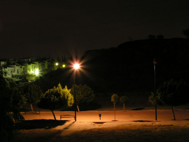 Cálida Noche de Verano 