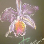 LAS FLORES thumbnail 2