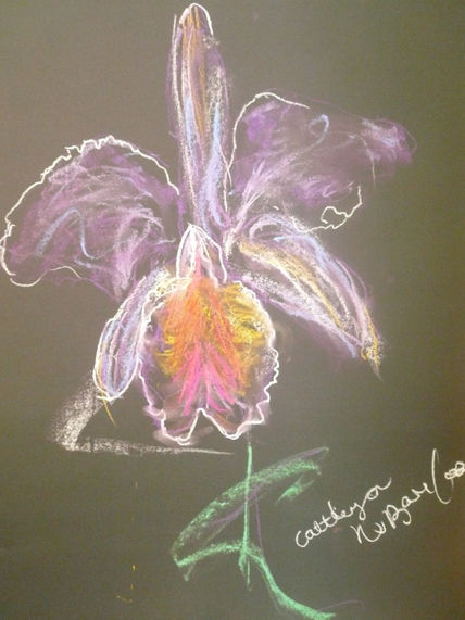 Orquidea cattleya...