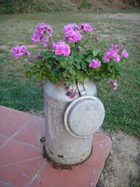 Flores en la lechera