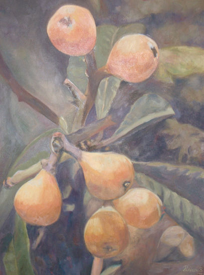 Nísperos Oil Canvas Still Life Paintings