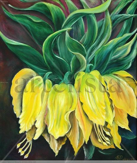 Flores tropicales