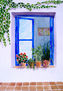 ventana azul - vendido