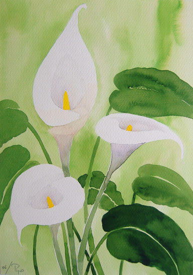 lirios calas - vendido Watercolour Paper Floral Painting