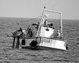 El pescador