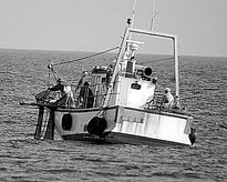 El pescador