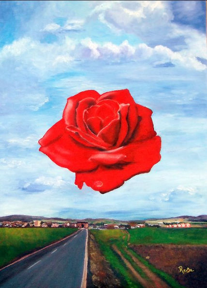 La rosa de la Mancha