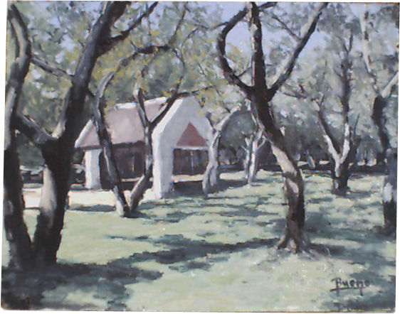 bosque2