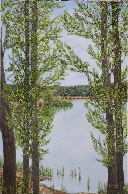 Pantano de Aguilar de Campoo 1