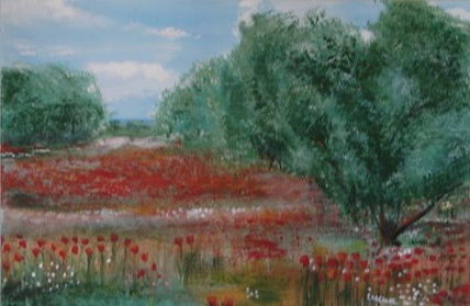 Olivos y Amapolas