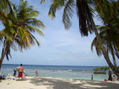 Palmas