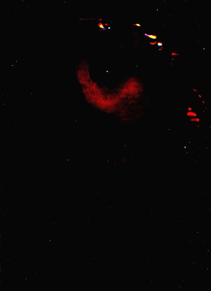 Ojo 5