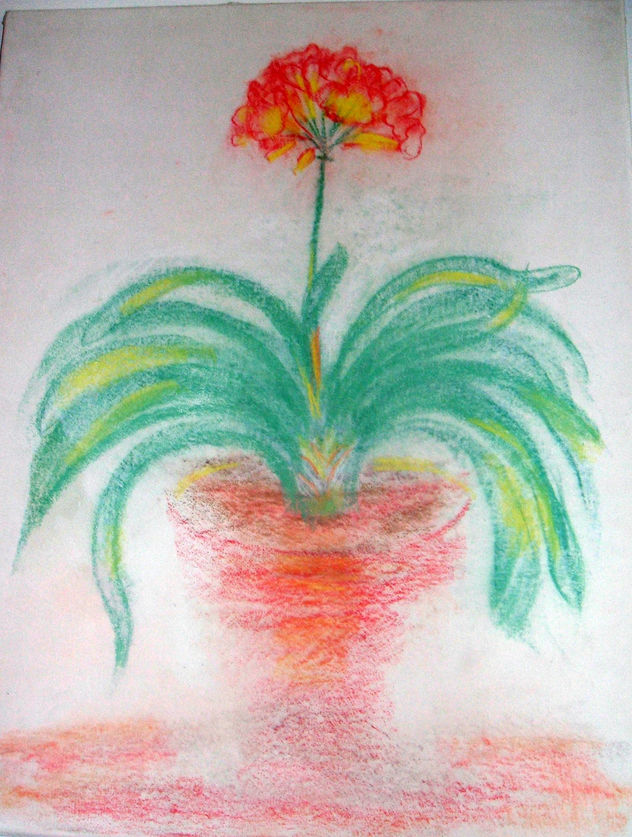 Flor en maceta recortada