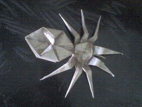 Araña de papel