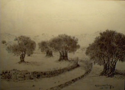 Oliveres