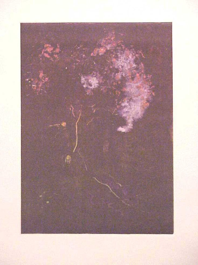 S/T